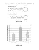 Modulation of T cell signaling threshold and T cell sensitivity to antigens diagram and image