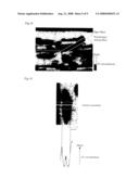 Fiber-Treating Agent diagram and image