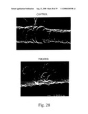 Inhibitory or blocking agents of molecular generating and/or/ inducing functions diagram and image