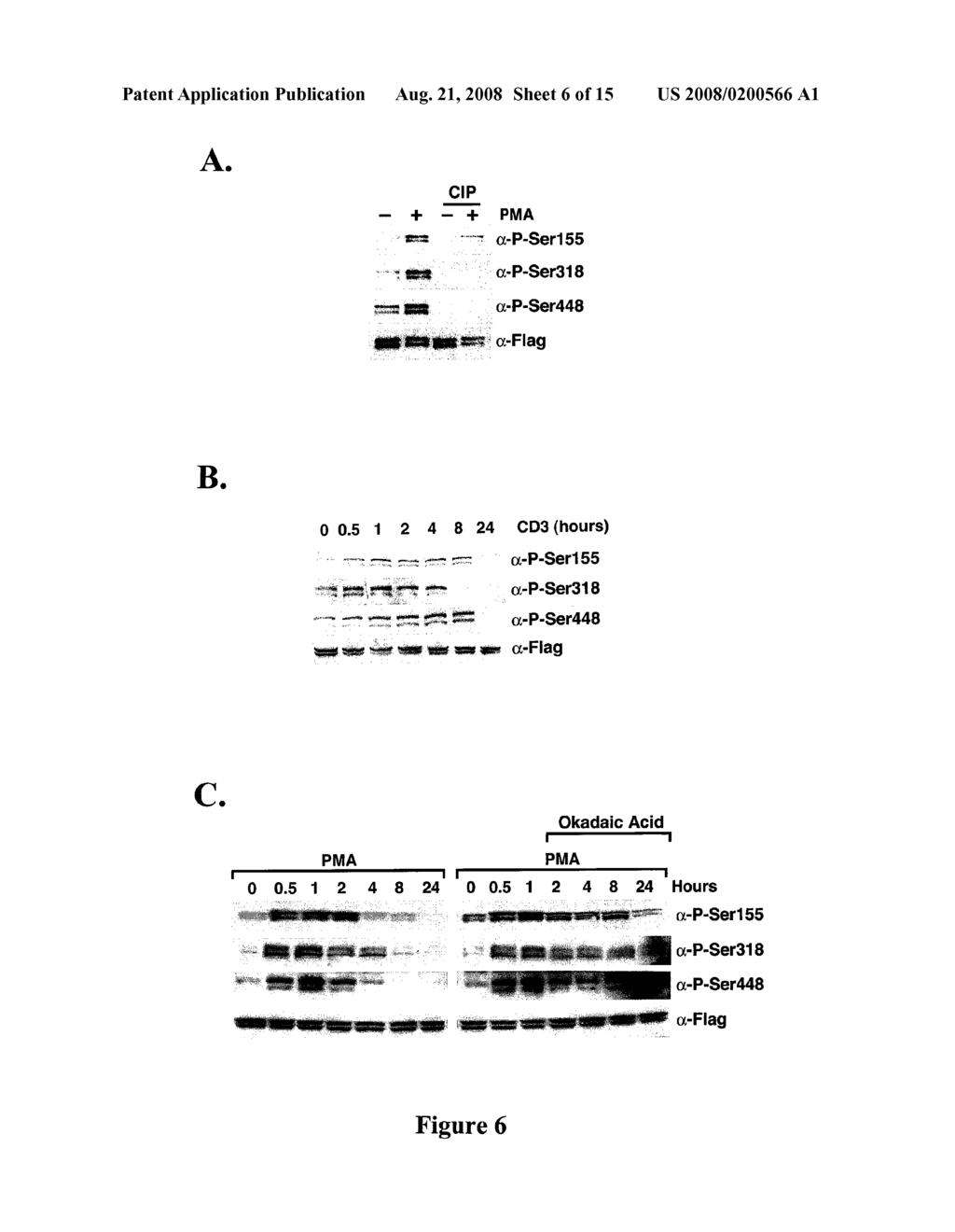 Dephosphorylation of HDAC7 By Myosin Phosphatase - diagram, schematic, and image 07