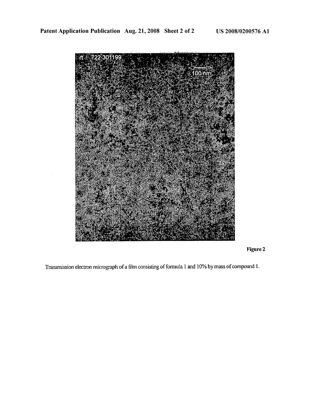 Polymeric Nanocomposite Materials Obtained by Controlled Nucleation Of Dendritic Polymers - diagram, schematic, and image 03