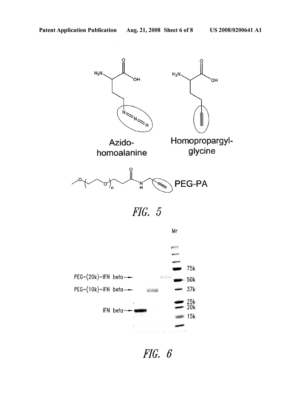 AMINO ACID SUBSTITUTED MOLECULES - diagram, schematic, and image 07