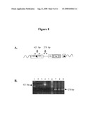 NOVEL LENTIVIRAL VECTORS FOR SITE-SPECIFIC GENE INSERTION diagram and image