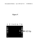 NOVEL LENTIVIRAL VECTORS FOR SITE-SPECIFIC GENE INSERTION diagram and image