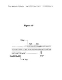 NOVEL LENTIVIRAL VECTORS FOR SITE-SPECIFIC GENE INSERTION diagram and image