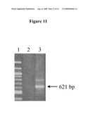 NOVEL LENTIVIRAL VECTORS FOR SITE-SPECIFIC GENE INSERTION diagram and image