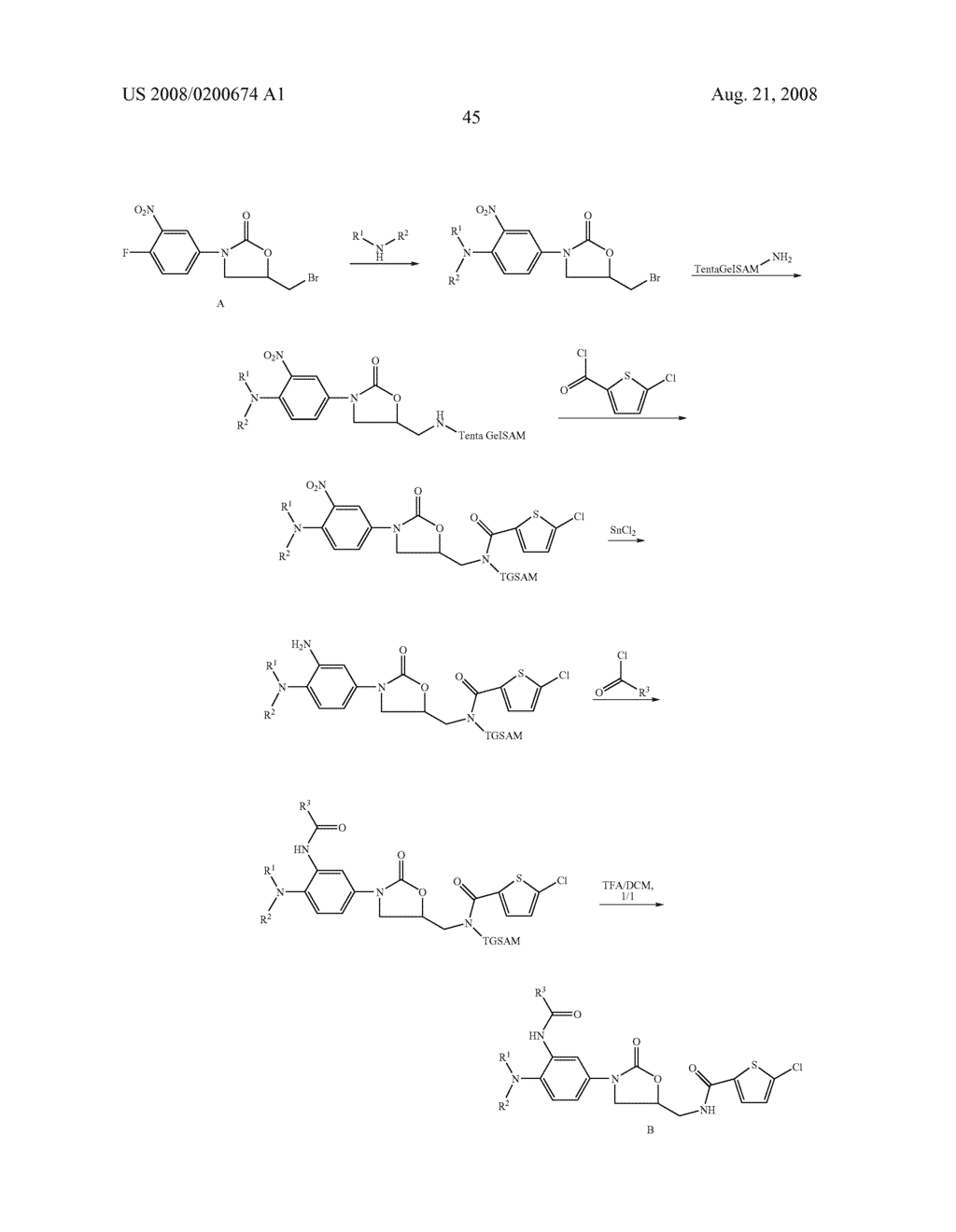 SUBSTITUTED OXAZOLIDINONES AND THEIR USE IN THE FIELD OF BLOOD COAGULATION - diagram, schematic, and image 46