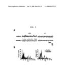 Transgenic mouse whose genome comprises a homozygous disruption of its alpha1G gene, a method of preparing the same and use thereof diagram and image