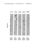 Alteration of tobacco alkaloid content through modification of specific cytochrome P450 genes diagram and image