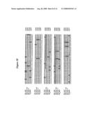 Alteration of tobacco alkaloid content through modification of specific cytochrome P450 genes diagram and image