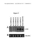 Alteration of tobacco alkaloid content through modification of specific cytochrome P450 genes diagram and image