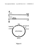 Alteration of tobacco alkaloid content through modification of specific cytochrome P450 genes diagram and image