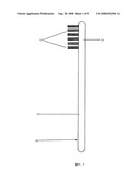 Disposable toothbrush cover and method of using diagram and image