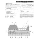 Organic electroluminescence display device diagram and image