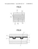 Organic electroluminescence display device diagram and image