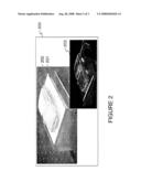 LOW RELIEF TACTILE INTERFACE WITH VISUAL OVERLAY diagram and image