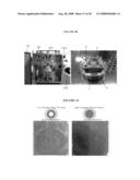 PROCESS AND APPARATUS FOR ULTRAVIOLET NANO-IMPRINT LITHOGRAPHY diagram and image