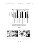 Catalyst System for a Multi-Walled Carbon Nanotube Production Process diagram and image