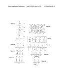 Method of Preparing Grafted Polylysine Dendrimers diagram and image