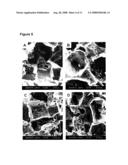 Pro-Angiogenic Polymer Scaffolds diagram and image