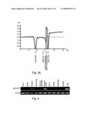 Compositions and Methods for Treating Disorders Associated with Abnormal Phosphate Metabolism diagram and image