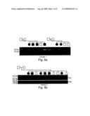 Compositions and Methods for Treating Disorders Associated with Abnormal Phosphate Metabolism diagram and image