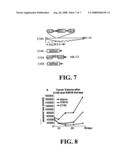 Chimeric Herpes Viruses and Uses Thereof diagram and image