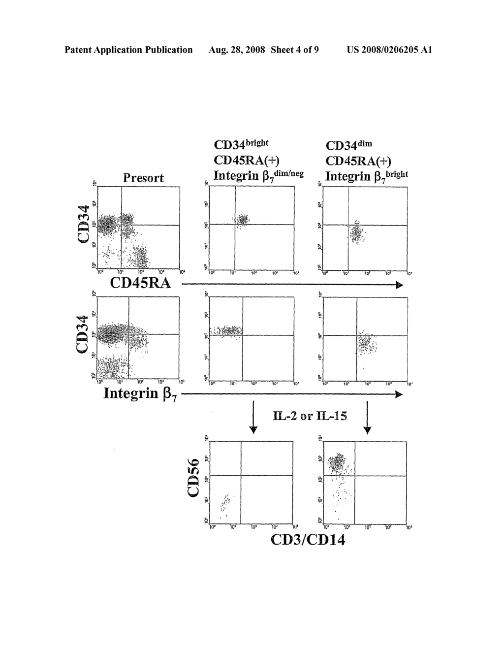 Cd34(+) Cells And Their Methods Of Use - diagram, schematic, and image 05