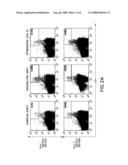 Tumor-associated Peptides Binding Promiscuously to Human Leukocyte Antigen (HLA) Class II Molecules diagram and image