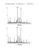 Tumor-associated Peptides Binding Promiscuously to Human Leukocyte Antigen (HLA) Class II Molecules diagram and image