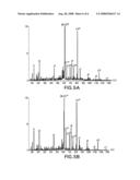 Tumor-associated Peptides Binding Promiscuously to Human Leukocyte Antigen (HLA) Class II Molecules diagram and image