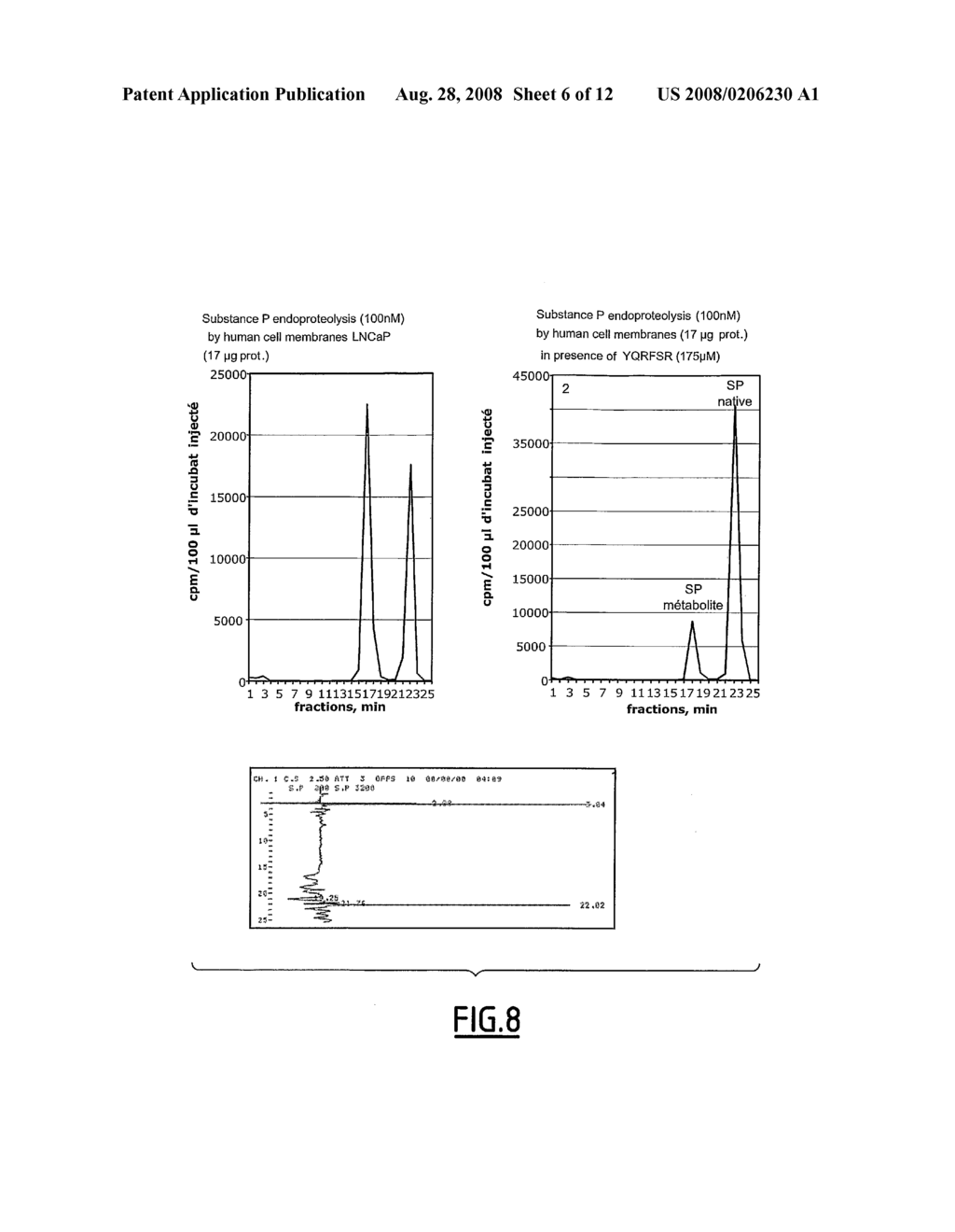 Peptides Derived from Human Bplp Protein, Polynucleotides Coding for Said Peptides and Antibodies Directed Against Said Peptides - diagram, schematic, and image 07