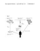 CANCER STEM CELL ANTIGEN VACCINES AND METHODS diagram and image