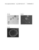 CANCER STEM CELL ANTIGEN VACCINES AND METHODS diagram and image