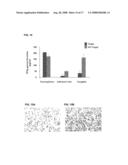 CANCER STEM CELL ANTIGEN VACCINES AND METHODS diagram and image