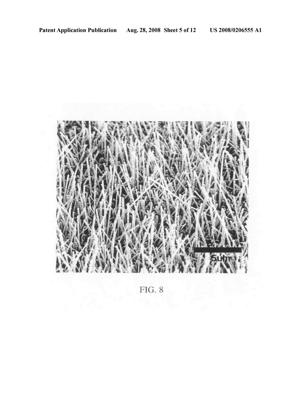 Metallic nanostructures - diagram, schematic, and image 06