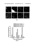 METHODS OF GENERATING SUPPORTED NANOCATALYSTS AND COMPOSITIONS THEREOF diagram and image