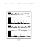 METHODS OF GENERATING SUPPORTED NANOCATALYSTS AND COMPOSITIONS THEREOF diagram and image