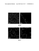 METHODS OF GENERATING SUPPORTED NANOCATALYSTS AND COMPOSITIONS THEREOF diagram and image