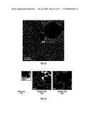 METHODS OF GENERATING SUPPORTED NANOCATALYSTS AND COMPOSITIONS THEREOF diagram and image