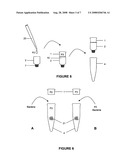 Plasmid DNA isolation diagram and image