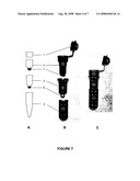 Plasmid DNA isolation diagram and image