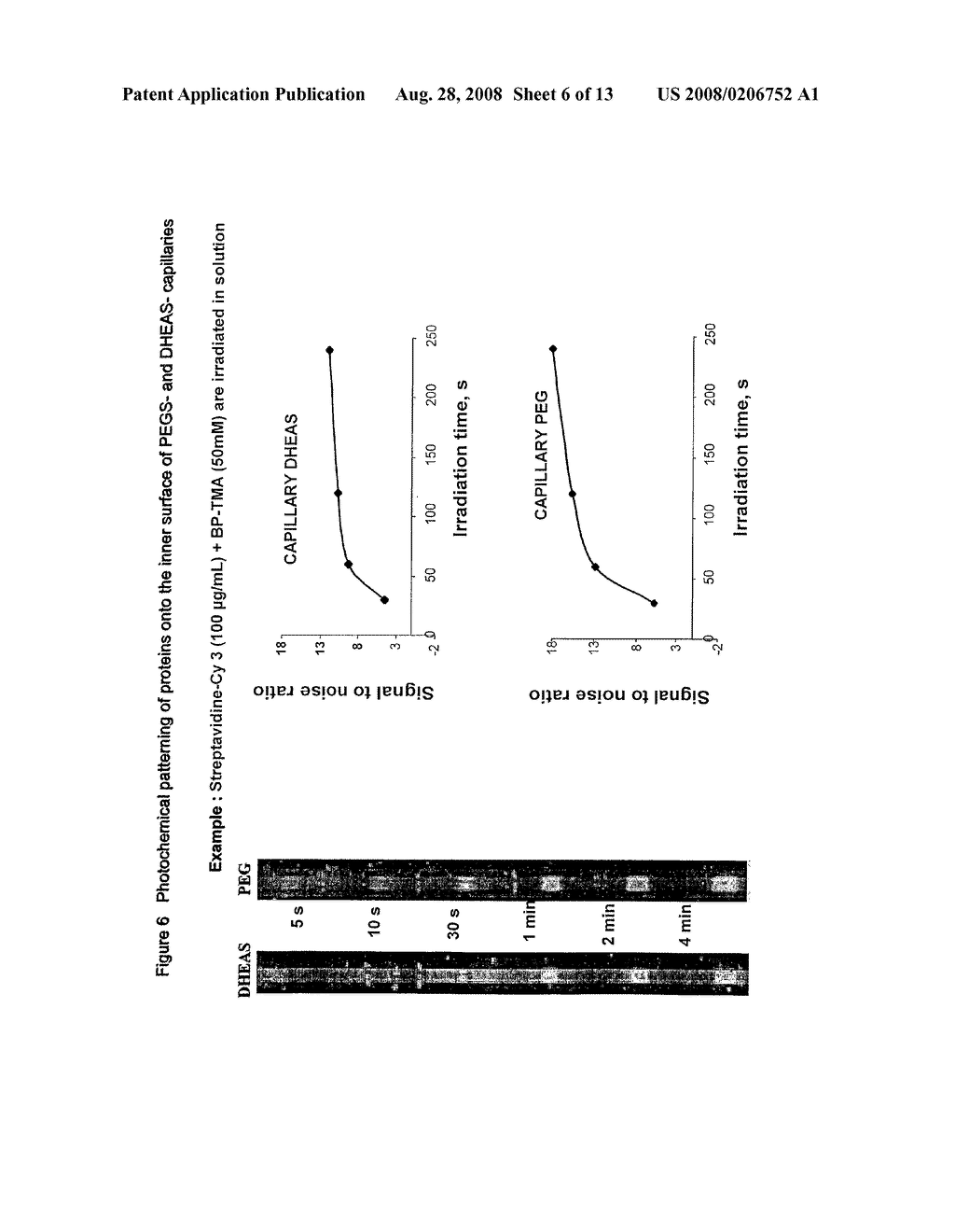 Method For the Photochemical Attachment of Biomolecules to a Substrate - diagram, schematic, and image 07