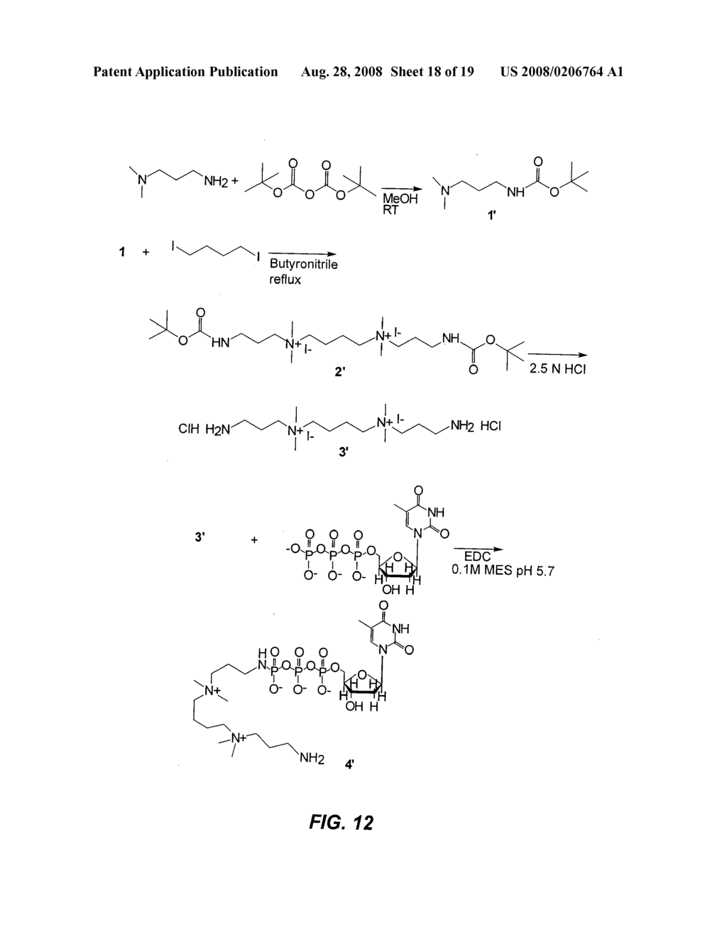 Flowcell system for single molecule detection - diagram, schematic, and image 19