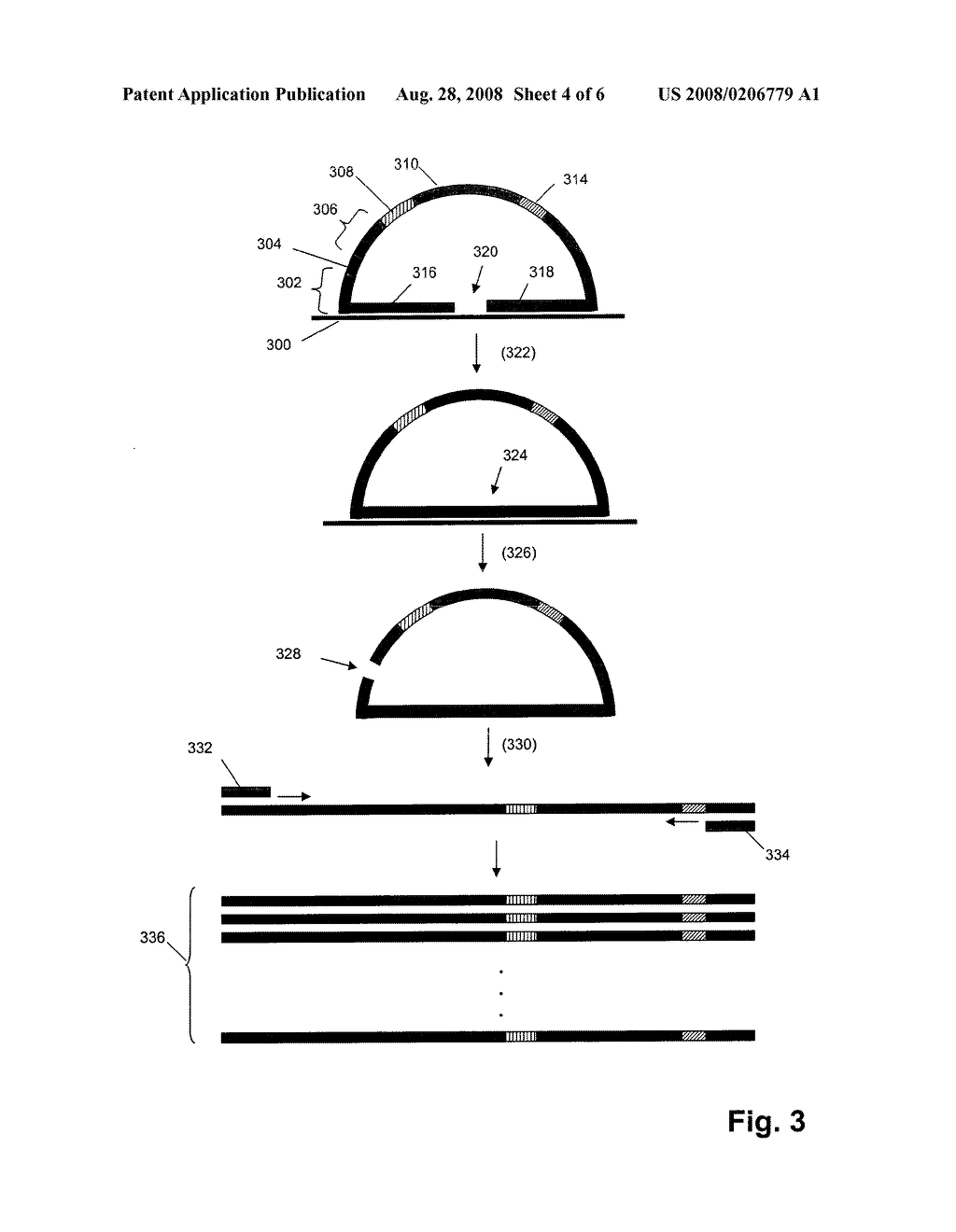 Methods and Kits for Multiplex Hybridization Assays - diagram, schematic, and image 05