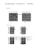 Process For Producing Polypeptide diagram and image