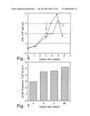 Methods for generating high titer helper-free preparations of released recombinant AAV vectors diagram and image