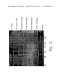 Methods for generating high titer helper-free preparations of released recombinant AAV vectors diagram and image