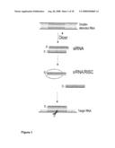 Nucleic Acid Complex diagram and image