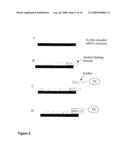 Nucleic Acid Complex diagram and image